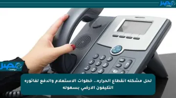 لحل مشكلة انقطاع الحرارة.. خطوات الاستعلام والدفع لفاتورة التليفون الأرضي بسهولة